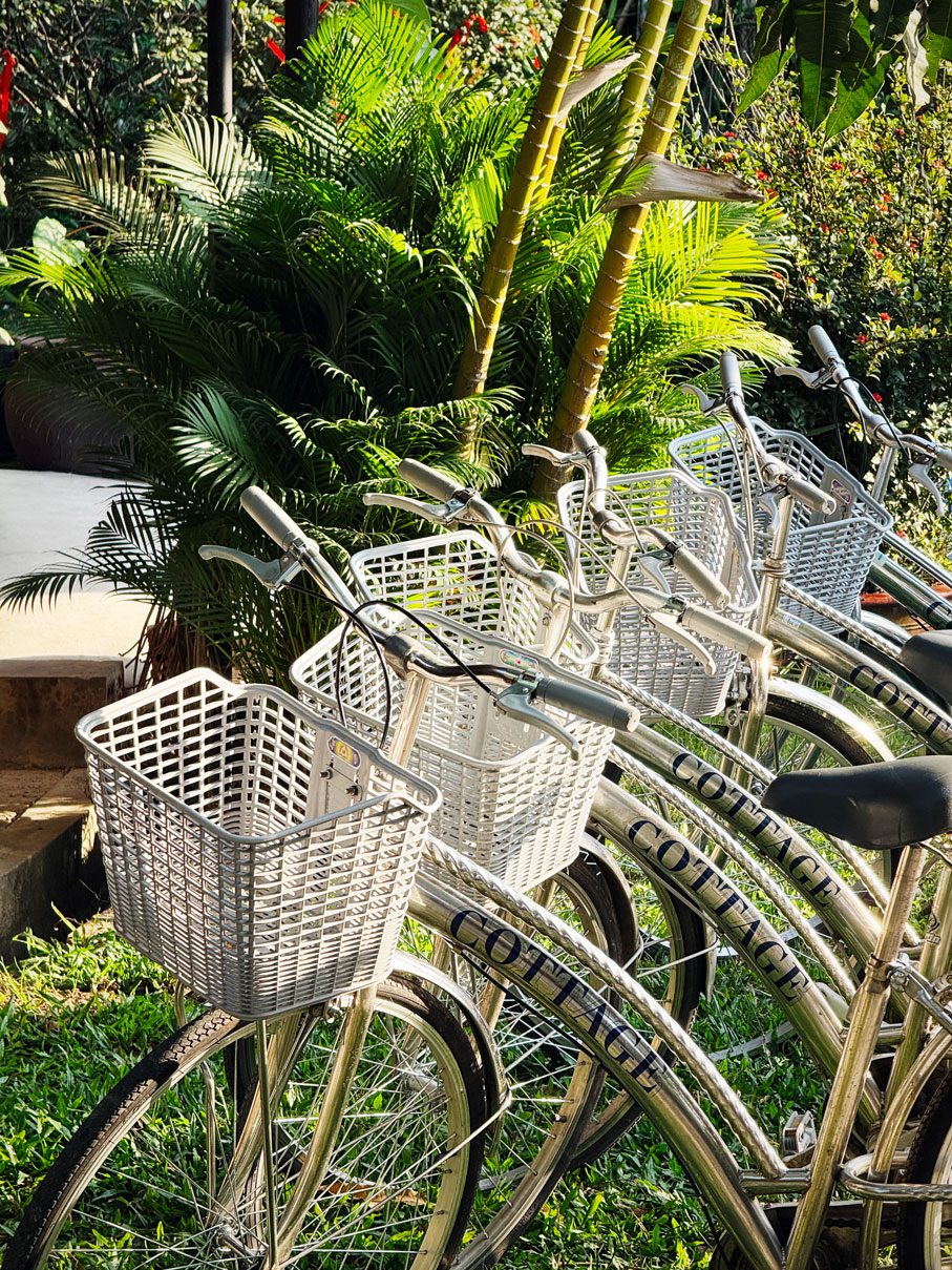 Hồ bơi xanh giữa khu vườn Cottage Village Phú Quốc